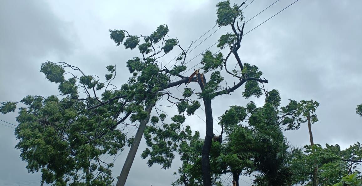 Yaas Cyclone, Bihar Weather Forecast  Updates:  बिहार में मौसम बिगड़ने से 7 की मौत, आज भी बारिश के आसार