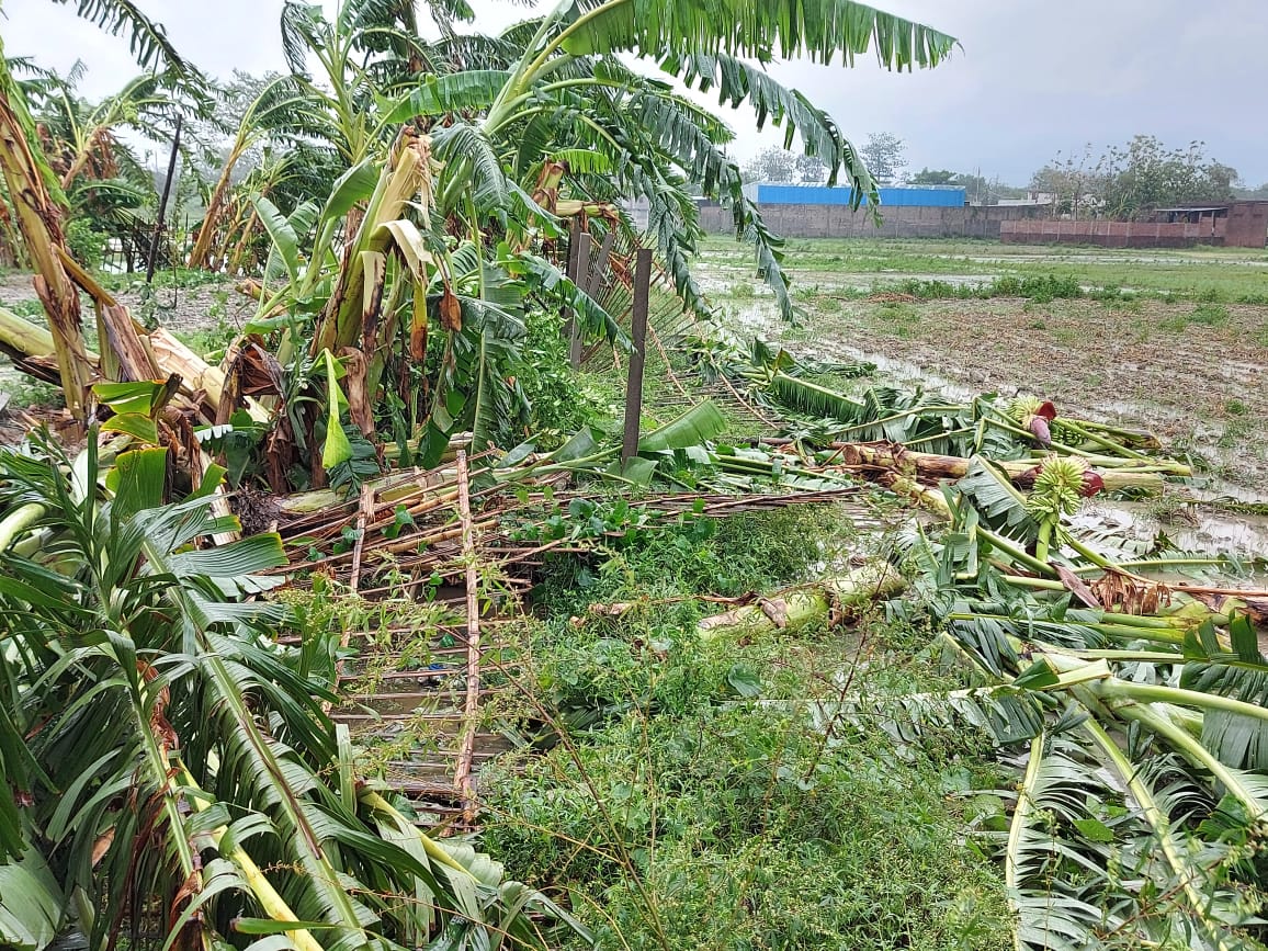 Yaas Cyclone, Bihar Weather Forecast  Updates:  बिहार में मौसम बिगड़ने से 7 की मौत, आज भी बारिश के आसार