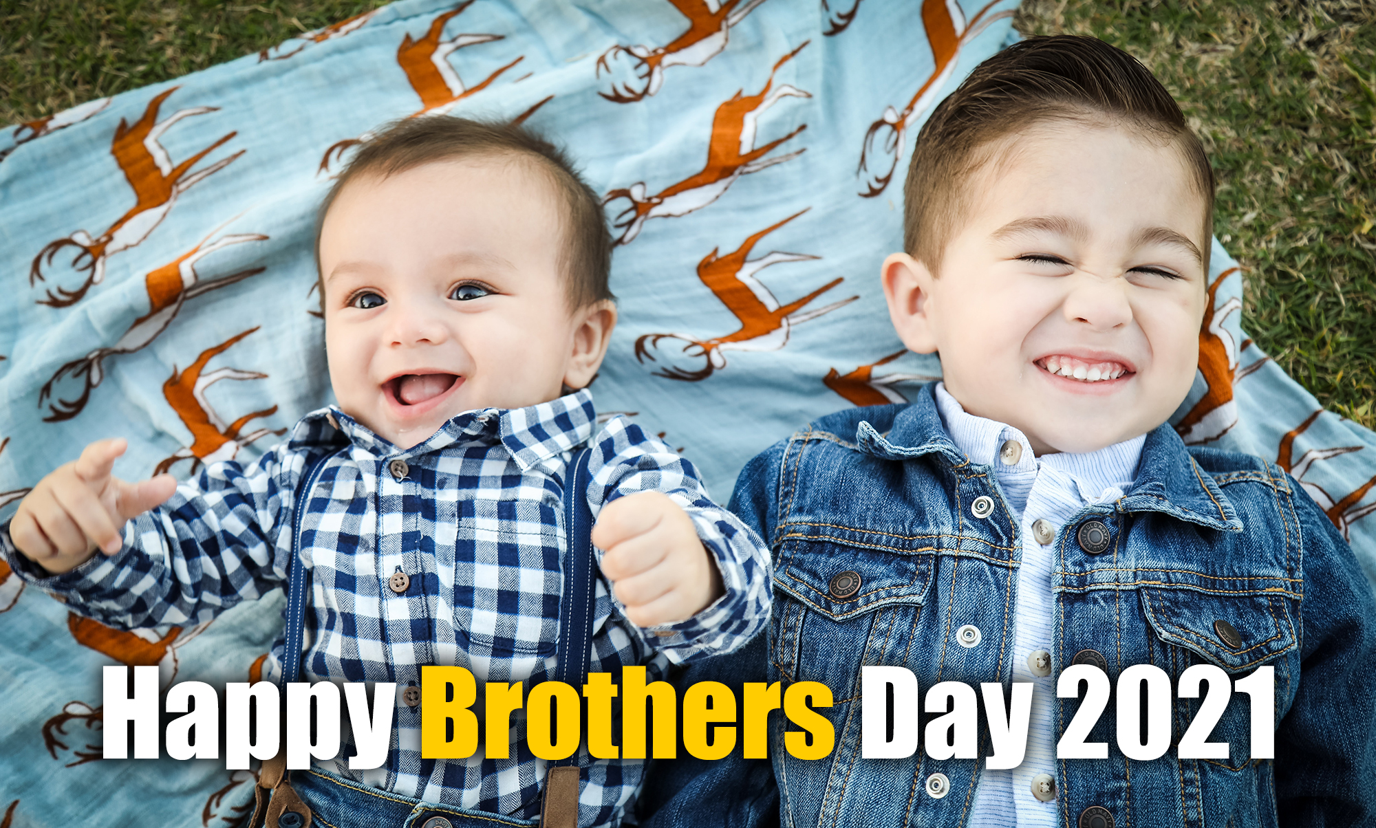 Happy Brothers Day Wishes, Images, Quotes, Status: भगवान से मांगा था एक भाई,
लेकिन दे दिया...ब्रदर्स डे पर अपने भाईयों को यहां से भेजें एक से बढ़कर शुभकामनाएं