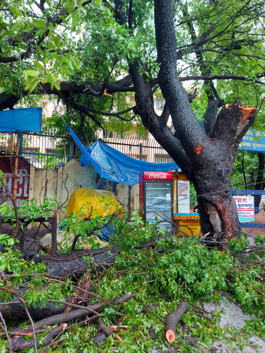 Yaas Cyclone, Bihar Weather Forecast  Updates:  बिहार में मौसम बिगड़ने से 7 की मौत, आज भी बारिश के आसार