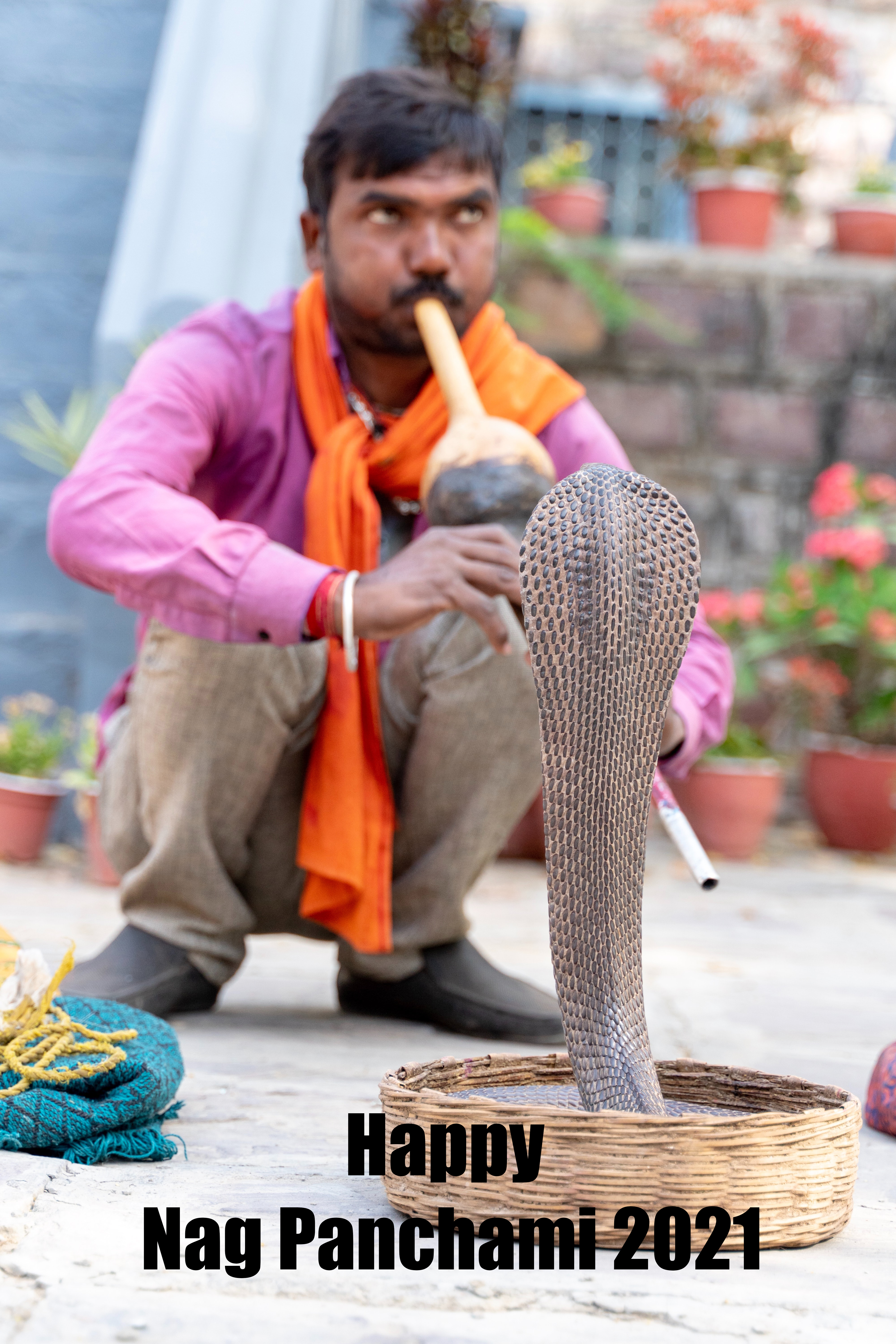 Nag Panchami 2021:  भगवान विष्णु का शेषनाग सिंहासन...'नाग पंचमी' पर अपनों को यहां से भेजे ढेर सारी शुभकामनाएं