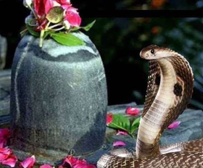 Nag Panchami 2021:  भगवान विष्णु का शेषनाग सिंहासन...'नाग पंचमी' पर अपनों को यहां से भेजे ढेर सारी शुभकामनाएं