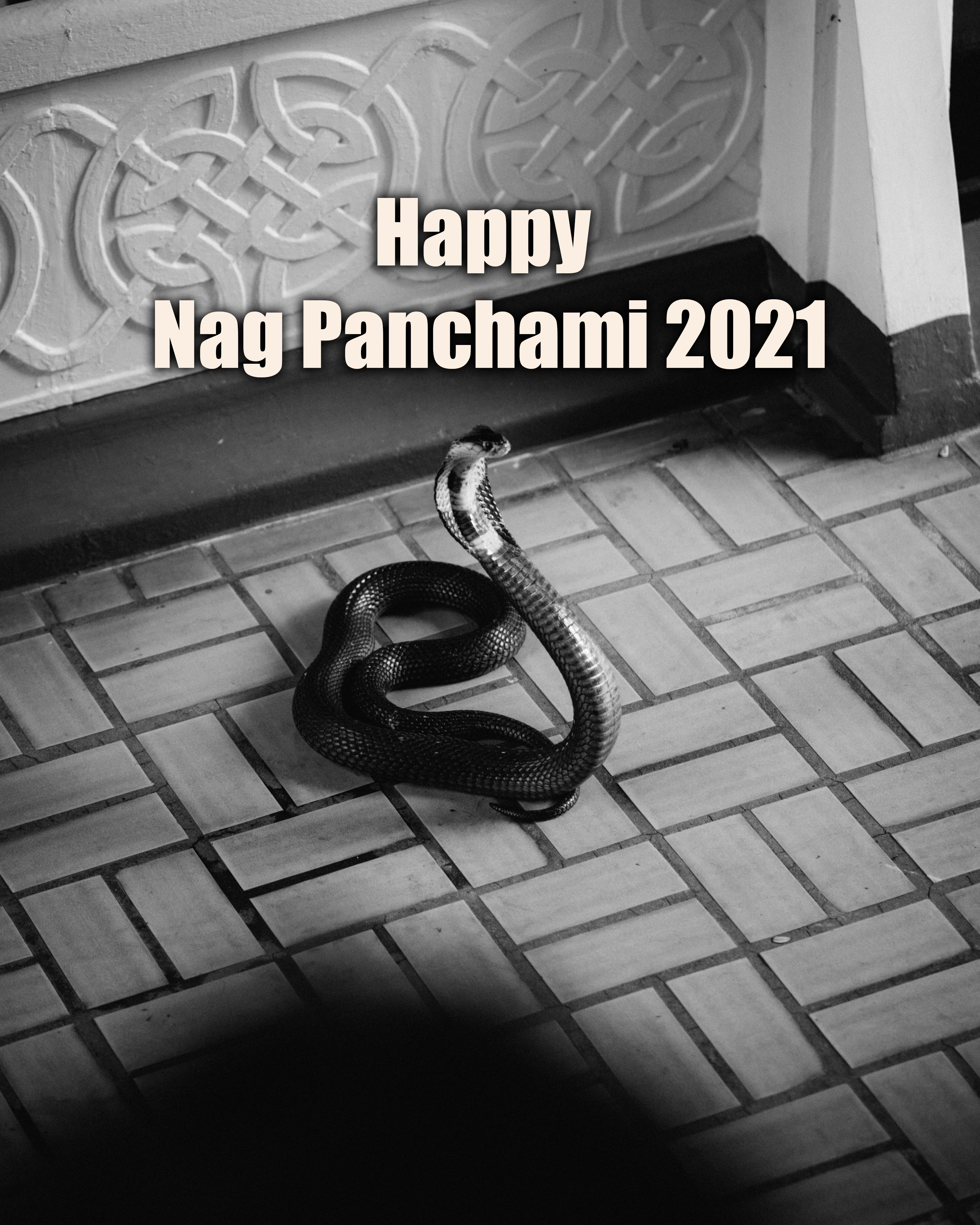 Nag Panchami 2021:  भगवान विष्णु का शेषनाग सिंहासन...'नाग पंचमी' पर अपनों को यहां से भेजे ढेर सारी शुभकामनाएं