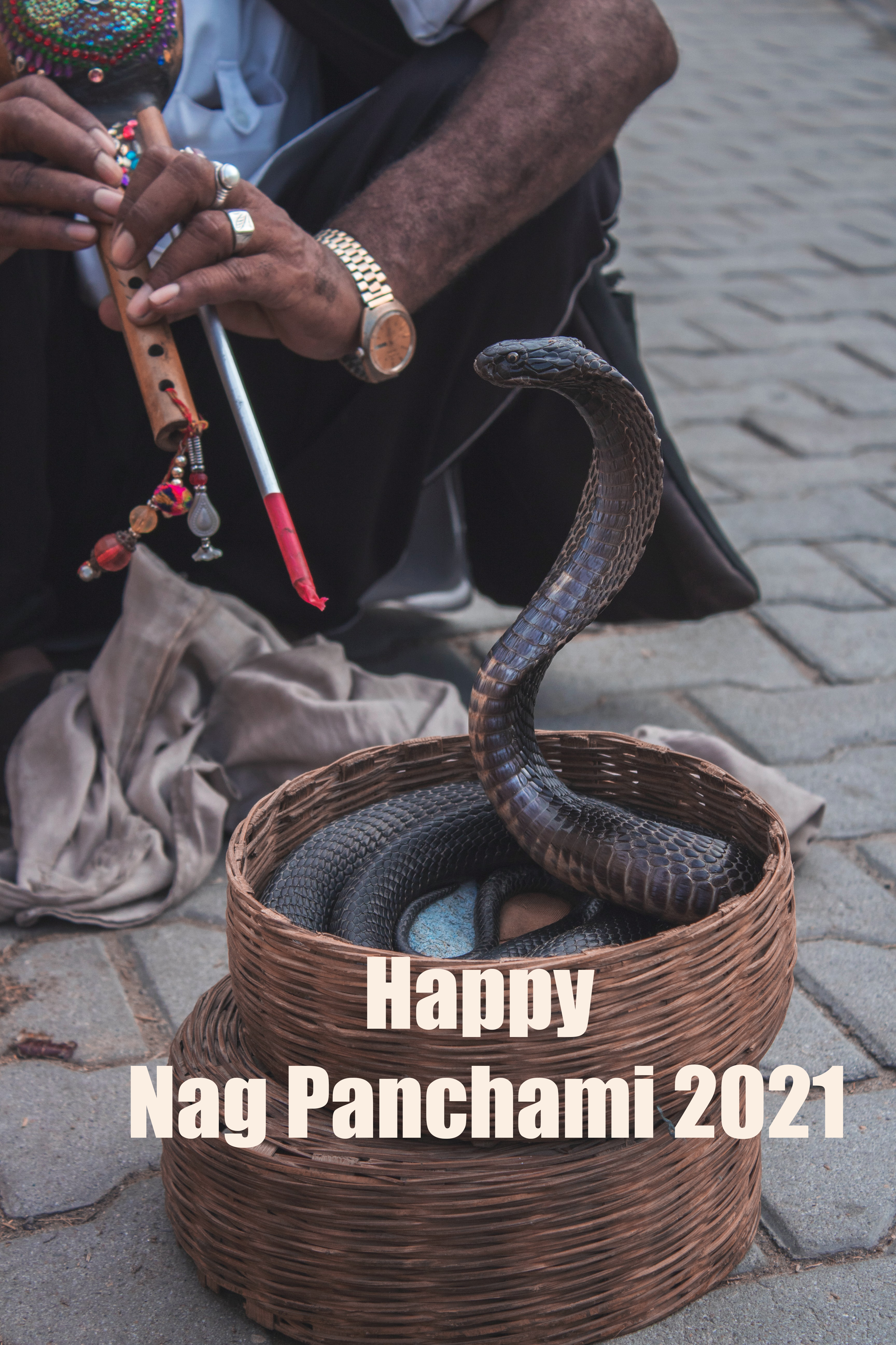 Nag Panchami 2021:  भगवान विष्णु का शेषनाग सिंहासन...'नाग पंचमी' पर अपनों को यहां से भेजे ढेर सारी शुभकामनाएं