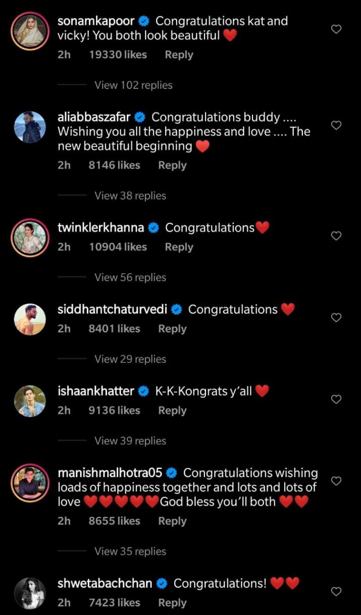 विक्की कौशल, कैटरीना कैफ शादी: विवाह बंधन में बंधे विक्की और कैटरीना, सनी कौशल ने कहा- स्वागत है परजाई जी