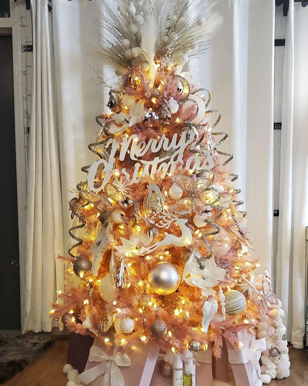 Christmas 2021 LIVE updates: क्रिसमस पर यहां से लीजिए केक डिजाइन और ट्री सजाने के यूनिक आइडियाज