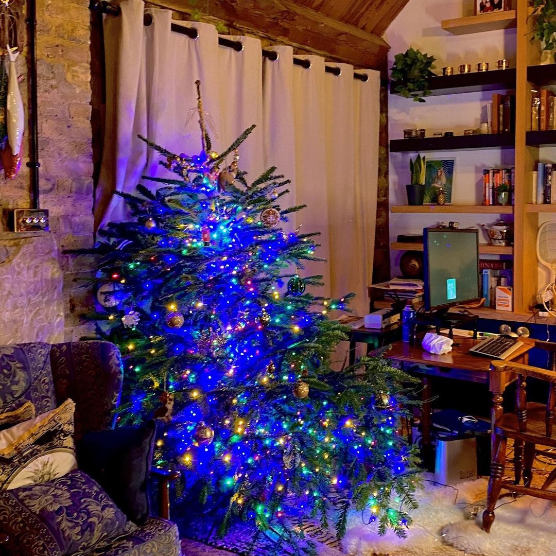 Christmas 2021 LIVE updates: क्रिसमस पर यहां से लीजिए केक डिजाइन और ट्री सजाने के यूनिक आइडियाज