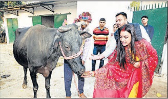 कैमूर के घूसखोर राजस्व कर्मचारी को 6 साल की जेल, अदालत ने सजा का किया ऐलान