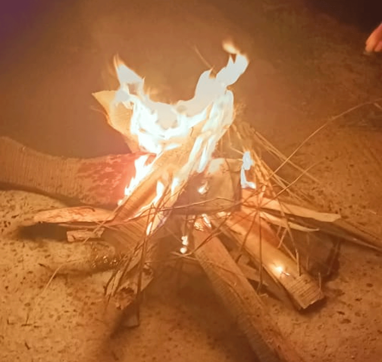 Bihar Weather: बिहार में कोहरा के कारण बाहर निकलना हुआ मुश्किल, ठंड से घरों में दुबके रहे लोग 