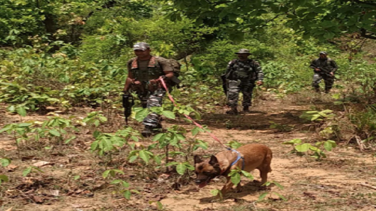 Jharkhand Panchayat Chunav Live: साहिबगंज में 73 फीसदी से अधिक हुई वोटिंग, अब सबकी निगाहें काउंटिंग पर